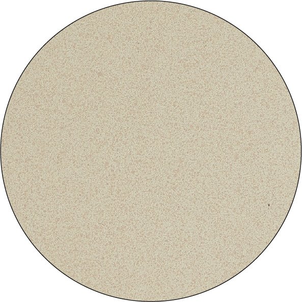 Natural White Asparagus