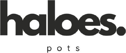 Ładowanie animacji dla haloes.pl